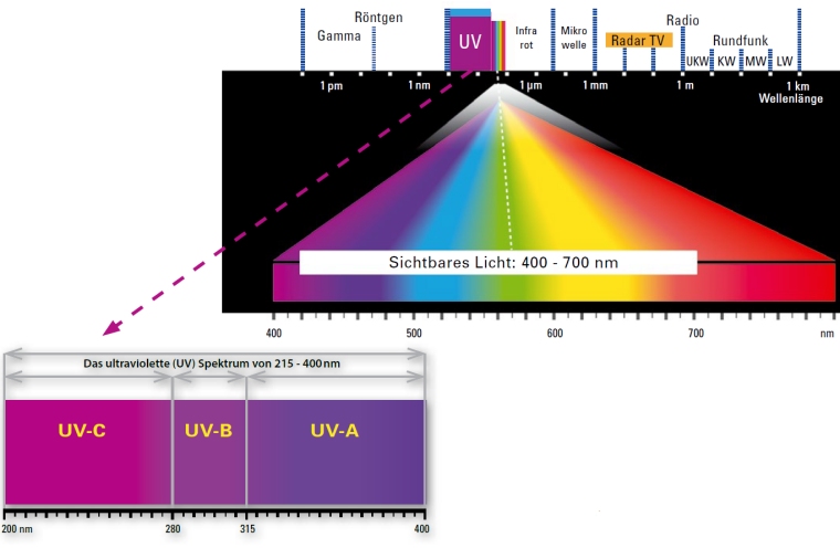 Buntpigmente in Wechelwirkung mit dem UV-Licht